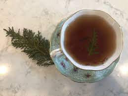 Organic Handpicked Cedar Tea