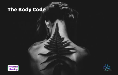 The Body Code